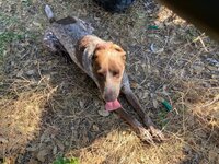 IMG_3386.jpeg