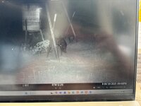 IMG_0770.jpeg