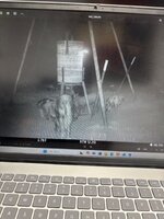IMG_0716.jpeg