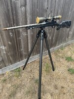 IMG_3695.jpeg