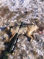 IMG_3923.jpeg