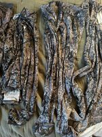 IMG_1234.jpeg
