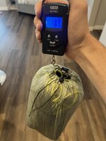 IMG_7510.jpeg