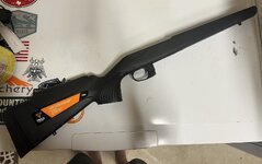 IMG_8733.jpeg