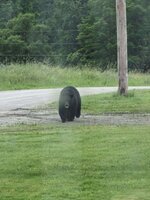 IMG_0281.jpeg