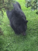 IMG_0280.jpeg