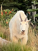 IMG_1162.jpg