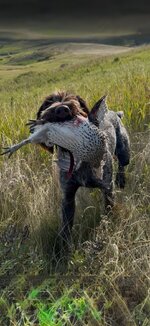 IMG_2859.jpeg