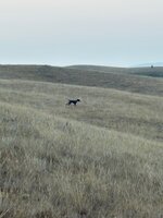 IMG_2840.jpeg
