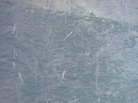IMG_0424.jpeg