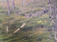 IMG_0428.jpeg