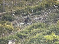 IMG_0429.jpeg