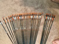 IMG_7284.jpeg