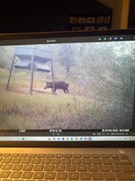 IMG_0787.jpeg