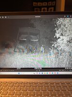 IMG_0785.jpeg