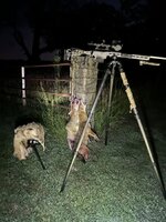 IMG_4580.jpeg