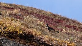 DSC01512.JPG