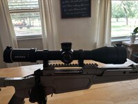 IMG_3972.jpeg