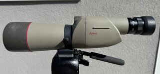 IMG_0227.jpg