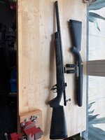 IMG_3311.jpeg