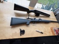 IMG_3322.jpeg