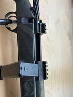 IMG_3316.jpeg