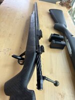 IMG_3312.jpeg