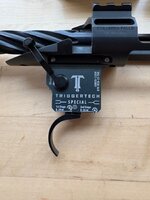 IMG_3321.jpeg