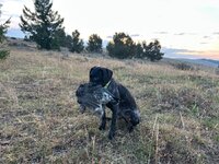 IMG_3096.jpeg