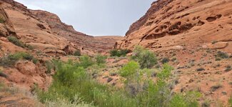 20250824_111929.jpg