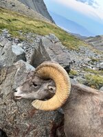 IMG_1378.jpeg