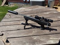 IMG_1229.jpeg IMG_1229.jpeg