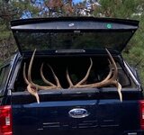sky bull 2.jpg sky bull 2.jpg