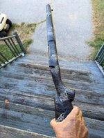 IMG_3647.jpeg