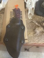 IMG_7016.jpeg