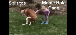 IMG_1288.png