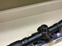 IMG_2096.jpeg