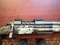IMG_0645.jpeg