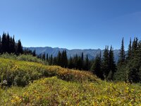 IMG_1990.jpeg