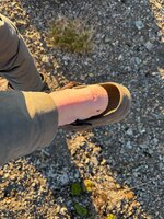 IMG_2007.jpeg