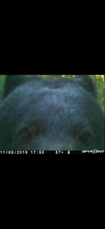 IMG_3175.png