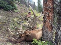 elk2025.JPG