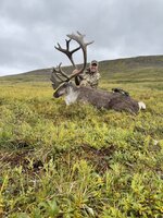 Caribou_2025_1.JPG
