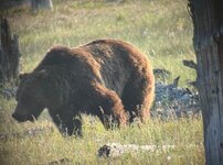 IMG_7042.jpeg