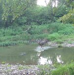 IMG_1063.jpeg