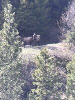 IMG_4931.jpeg