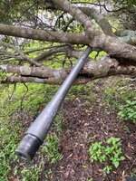 IMG_4779.jpeg