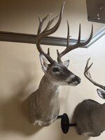 IMG_4070.jpeg