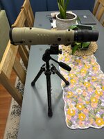 IMG_1935.jpeg