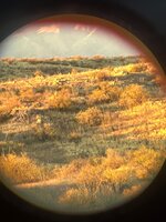 IMG_9320.jpeg